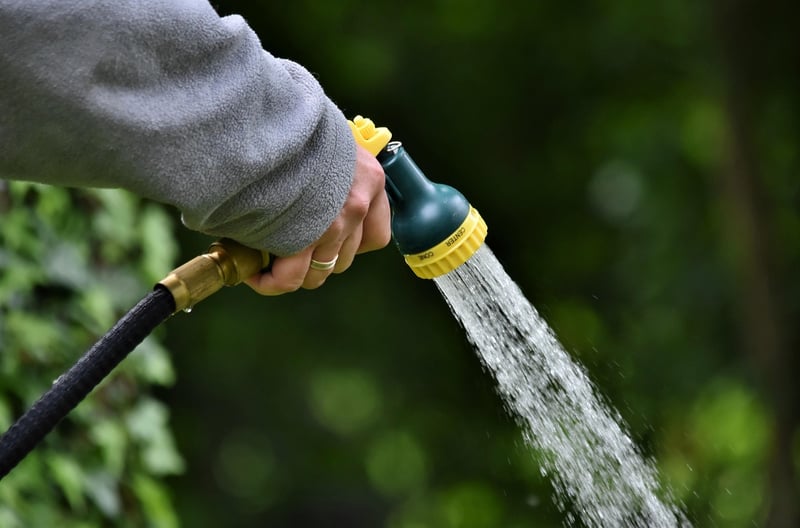 Summer Watering